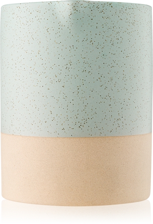 Paddywax Mesa Cactus Flower & Matcha scented candle