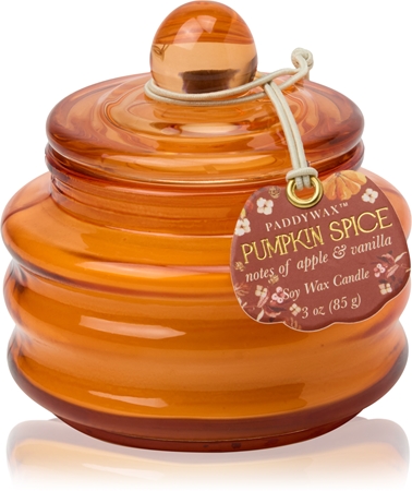 Paddywax Pumpkin Spice scented candle