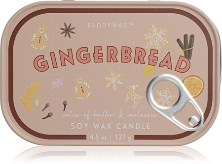 Paddywax Bistro Pumpkin Spice αρωματικό κερί