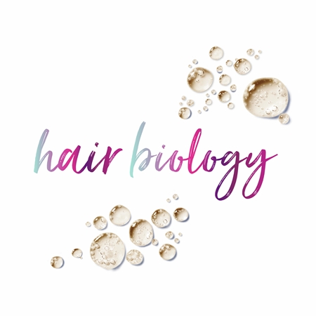 Pantene Hair Biology De-Frizz & Illuminate šampon pro suché a barvené vlasy