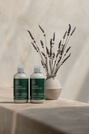 Paul Mitchell Tea Tree Lavender Mint hydrating and soothing shampoo for dry and unruly hair