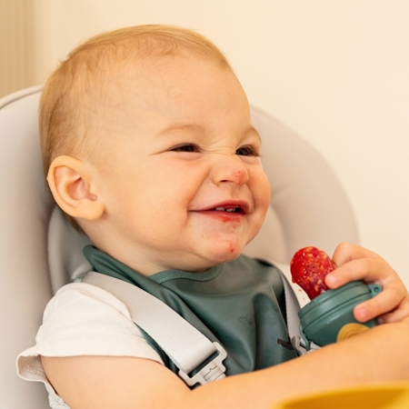 Petite&Mars Silicone Food Feeder 6m+ sucette de dentition