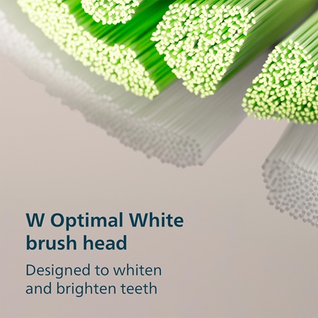 Philips Sonicare 3100 HX4033/32 sonic electric toothbrush