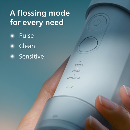 Philips Sonicare HX3333/24 oral shower