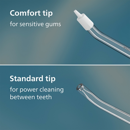 Philips Sonicare HX3333/24 oral shower