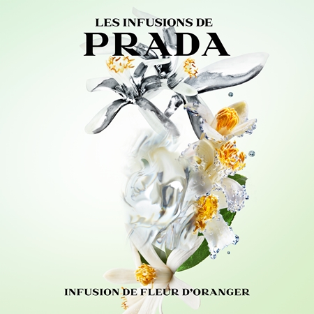 Prada Les Infusions: Infusion Fleur d'Oranger Eau de Parfum mixte