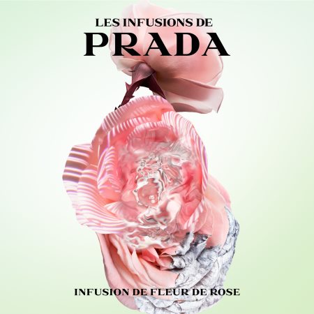 Prada Les Infusions: Infusion Rose Eau de Parfum unissexo