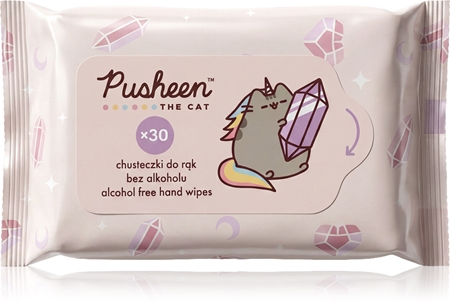 Pusheen Wet wipes lingettes