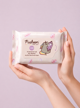 Pusheen Wet wipes lingettes