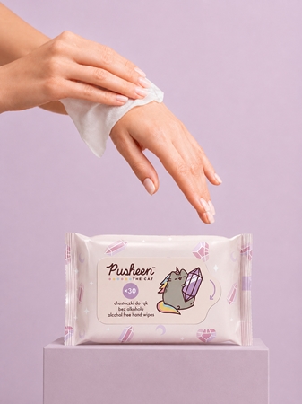 Pusheen Wet wipes lingettes