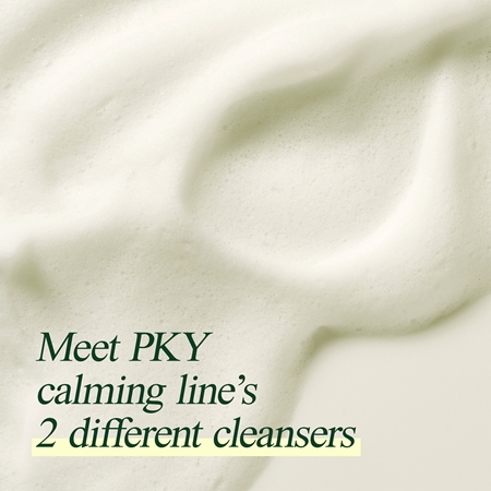 Pyunkang Yul Calming Moisture Low pH Foaming Cleanser mousse nettoyante douce pour peaux sensibles et intolérantes