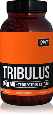 QNT Tribulus Terrestris Kapseln aus Kräutern
