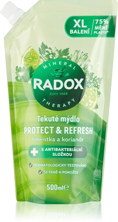 Radox Protect & Refresh sapone liquido ricarica