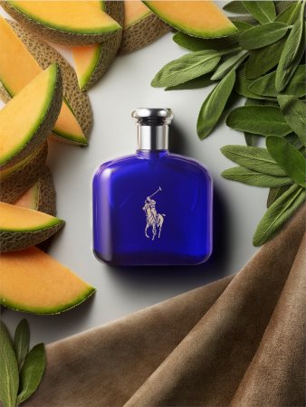 Polo ralph lauren eau de toilette blue sale