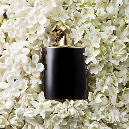 Ralph Lauren Woman Intense парфумована вода для жінок