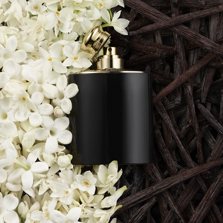 Ralph Lauren Woman Intense парфумована вода для жінок