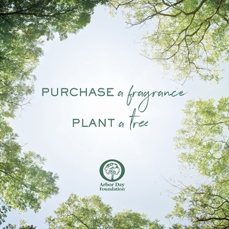 Ralph Lauren Polo Earth Provencial Sage toaletní voda unisex
