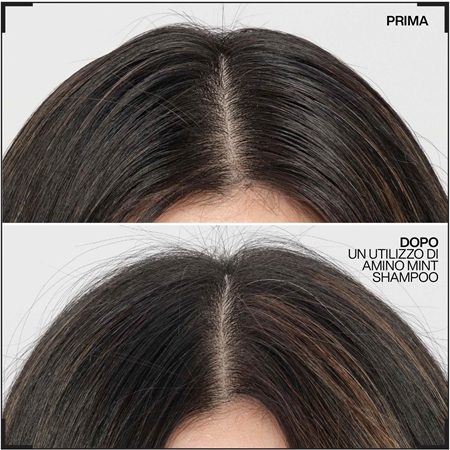 Redken Amino Mint shampoo detergente delicato per capelli che si ungono rapidamente