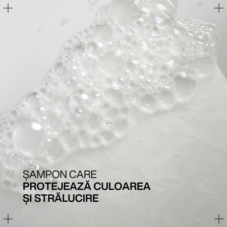 Redken Acidic Color Gloss sampon pentru stralucire pentru păr vopsit