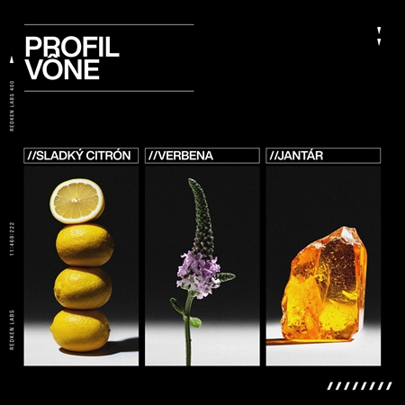 Redken Acidic Grow Full System Conditioner kondicionér pre jemné vlasy bez objemu