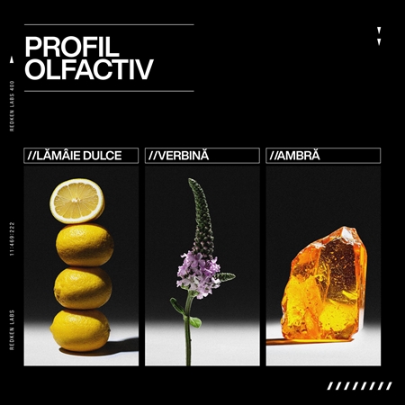 Redken Acidic Grow Full System Shampoo Sampon pentru par deteriorat si slab pentru a restabili densitatea parului