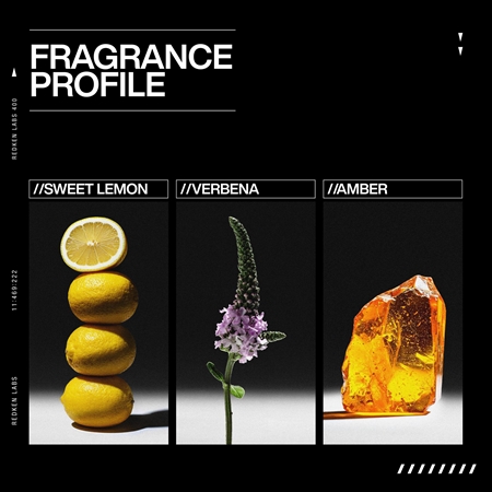 Redken Acidic Grow Full System Instant Densyfiying Spray Volumenspray für ein perfektes Aussehen der Haare