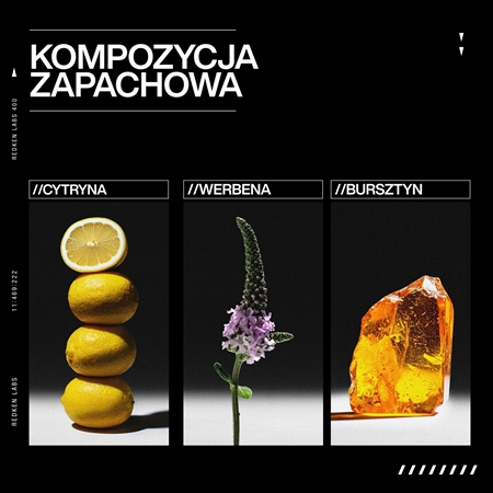 Redken Acidic Grow Full System Instant Densifying Spray spray na objętość dla doskonałego wyglądu włosów