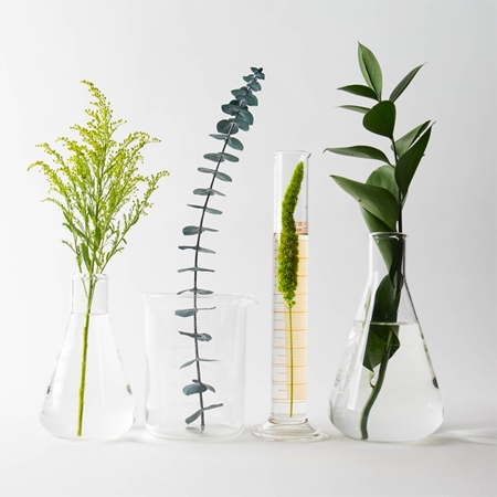 Redken Nature+Science All Soft hydratisierendes Shampoo für trockenes und beschädigtes Haar