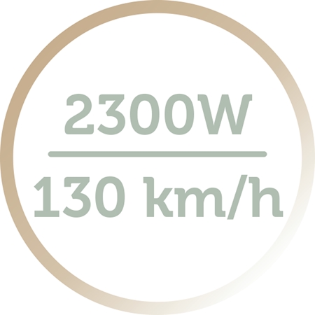 Remington Botanicals AC5860 suszarka do włosów