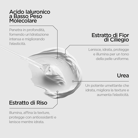 Revox B77 Japanese Routine Face Cream Light Texture crema idratante leggera per il viso