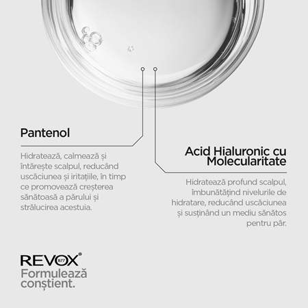 Revox B77 JUST Hyaluronic Acid 2% for Hair ser hidratant pentru par si scalp