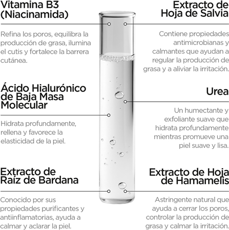 Revox B77 Zitcare AHA BHA PHA Active Face Toner tónico limpiador suave