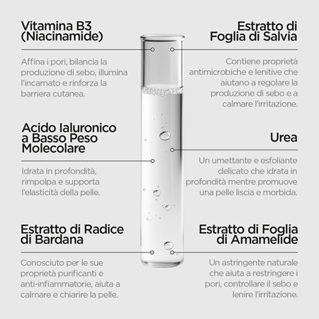 Revox B77 Zitcare AHA BHA PHA Active Face Toner lozione tonica detergente delicata