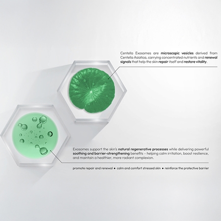 Revuele Exosome Infusion Serum sérum rénovateur avec effets apaisants