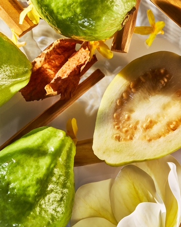 Roja Parfums Isola Verde Parfum mixte