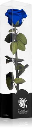 RoseAmor Blue rose stabilisée sur tige