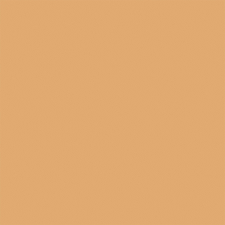 Sally Hansen Airbrush Legs tonizuojamasis kremas kojoms