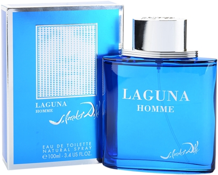 Salvador Dali Laguna Homme Eau de Toilette pour homme