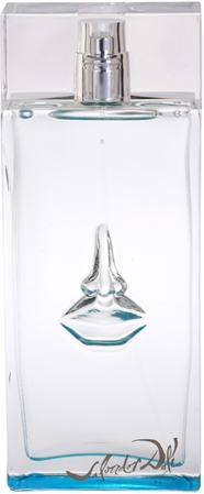 salvador dali sea & sun in cadaques