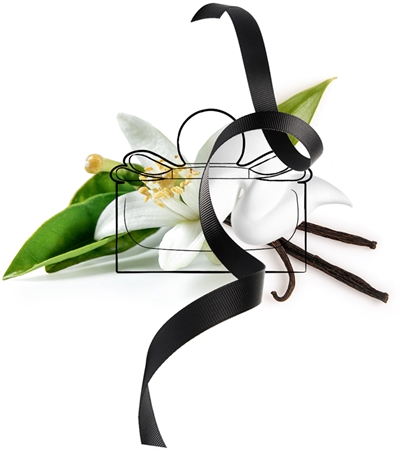 Ferragamo Signorina Misteriosa Eau de Parfum naisille