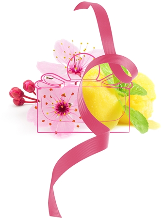 Ferragamo Signorina in Fiore Eau de Toilette pour femme