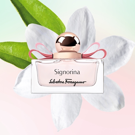 Ferragamo Signorina eau de parfum for women notino