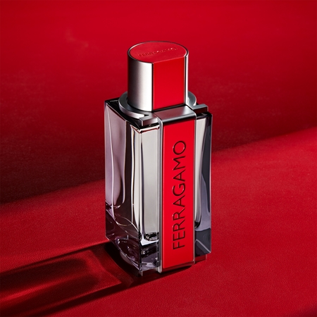 Ferragamo Ferragamo Red Leather parfumovaná voda pre mužov
