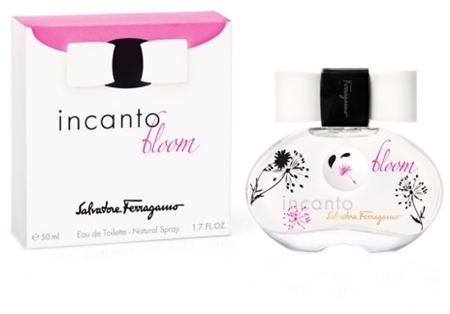 Incanto bloom best sale