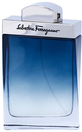 Salvatore Ferragamo Subtil Pour Homme toaletní voda pro muže