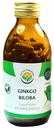 Salvia Paradise Ginkgo biloba kapsułki roślinne kapsułki do prawidłowego funkcjonowania serca i mózgu