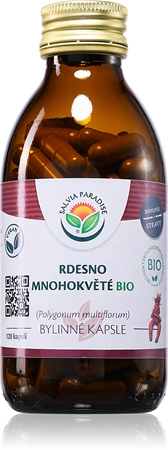 Salvia Paradise Rdest wielokwiatowy BIO kapsułki dla prawidłowej czynności układu nerwowego i pięknej skóry