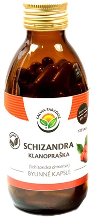 Salvia Paradise Cytryniec chiński kapsułki roślinne kapsułki na poprawę nastroju