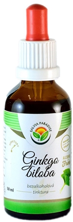 Salvia Paradise Ginkgo biloba tinktura bezalkoholowa nalewka dla poprawy koncentracji i pamięci