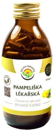 Salvia Paradise Mlecz lekarski kapsułki roślinne kapsułki na poprawę trawienia